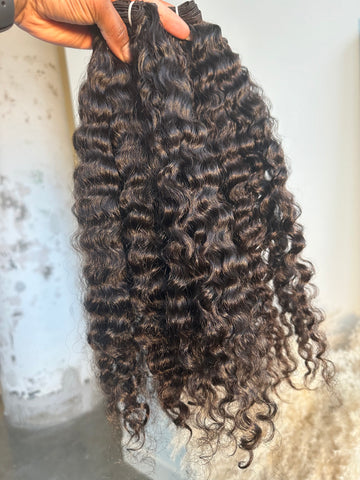 Burmese Curly